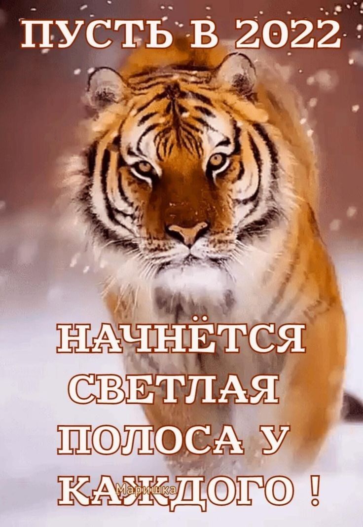 П