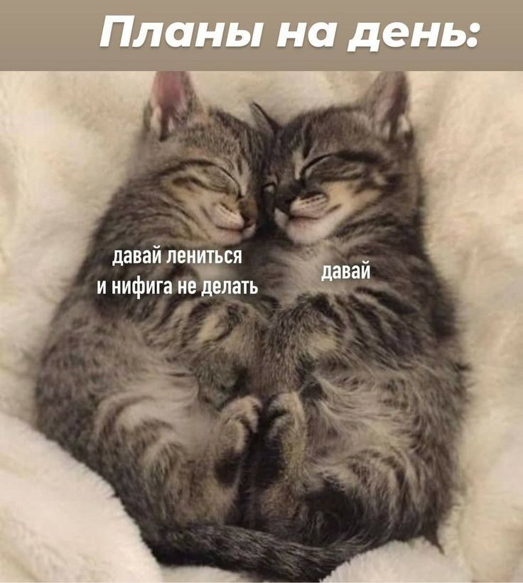 давай л ься и нифига нежить іі