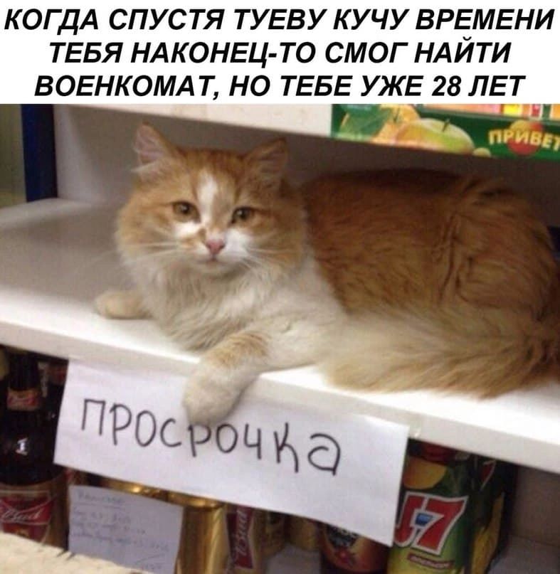 КОГДА СПУСТЯ ТУЕВУ КУЧУ ВРЕМЕНИ ТЕБЯ НАКОНЕЦ ТО СМОГ НАИТИ ВОЕНКОМА Т НО ТЕБ ЖЕ 28 ЛЕТ