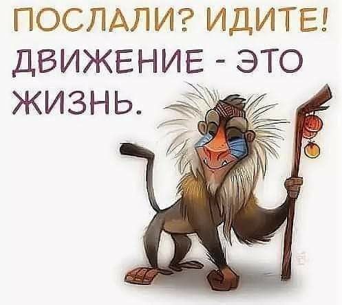 ПОСЛАЛИ ИДИТЕ ДВИЖЕНИЕ Это