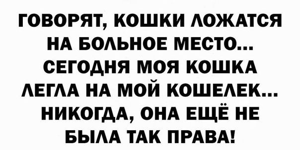 Счастье ходит по пятам картинки