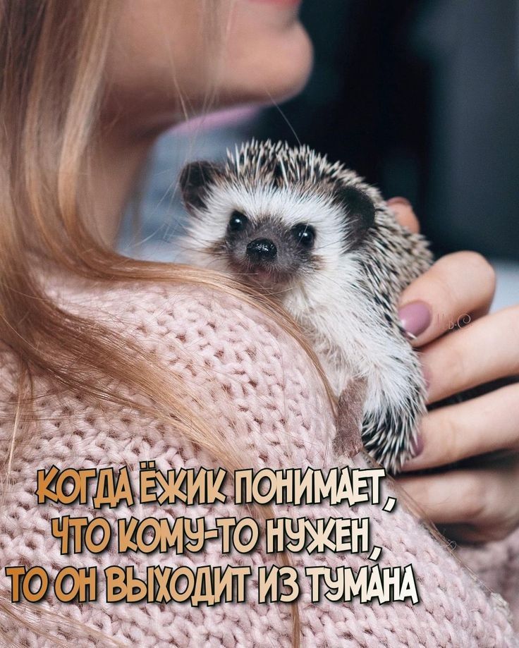 Чюн нчквн ч е г