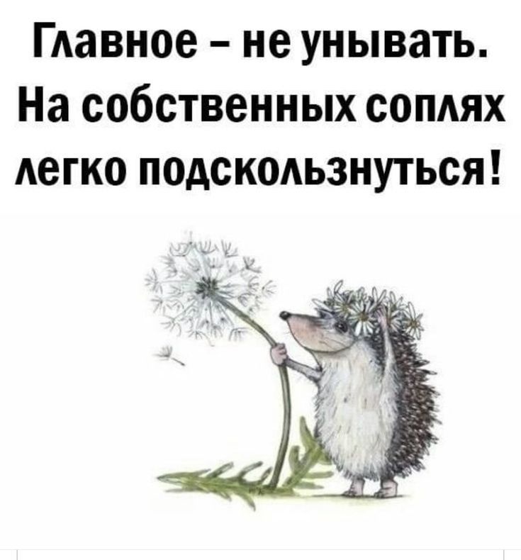 Главное не унывать на собственных соплях легко поскользнуться картинка с ежиком