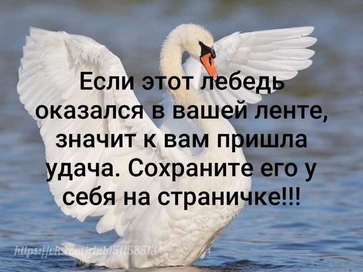 ___ 6 Есл йэтот Еебед оказался в вашей ленте значит к вам пришла_ удача Сохранитё его у себя на страничке