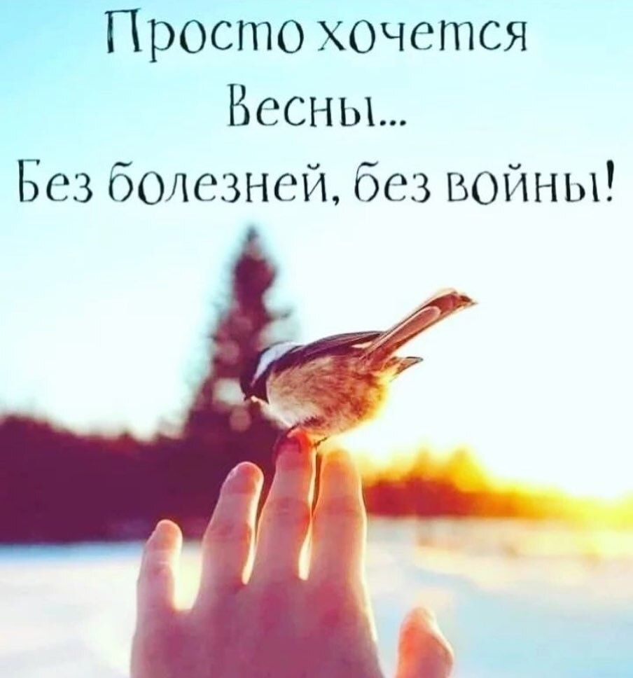 ЕТТросто хочется Весньъ Без болезней без Войны