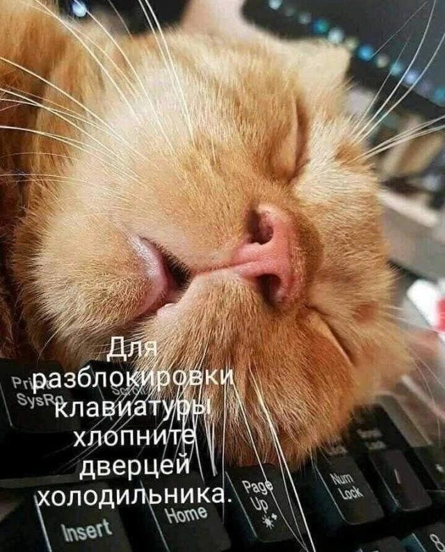 Ед  1  ильника.   Зе