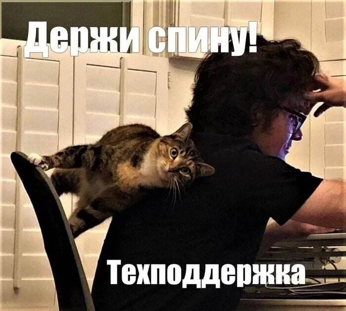 Техподдержка 3
