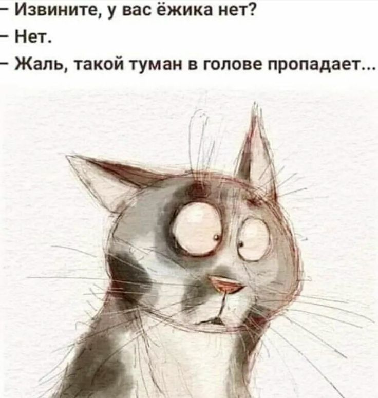 Извините у вас ёжика нет Нет Жаль такой туман в голове пропадает