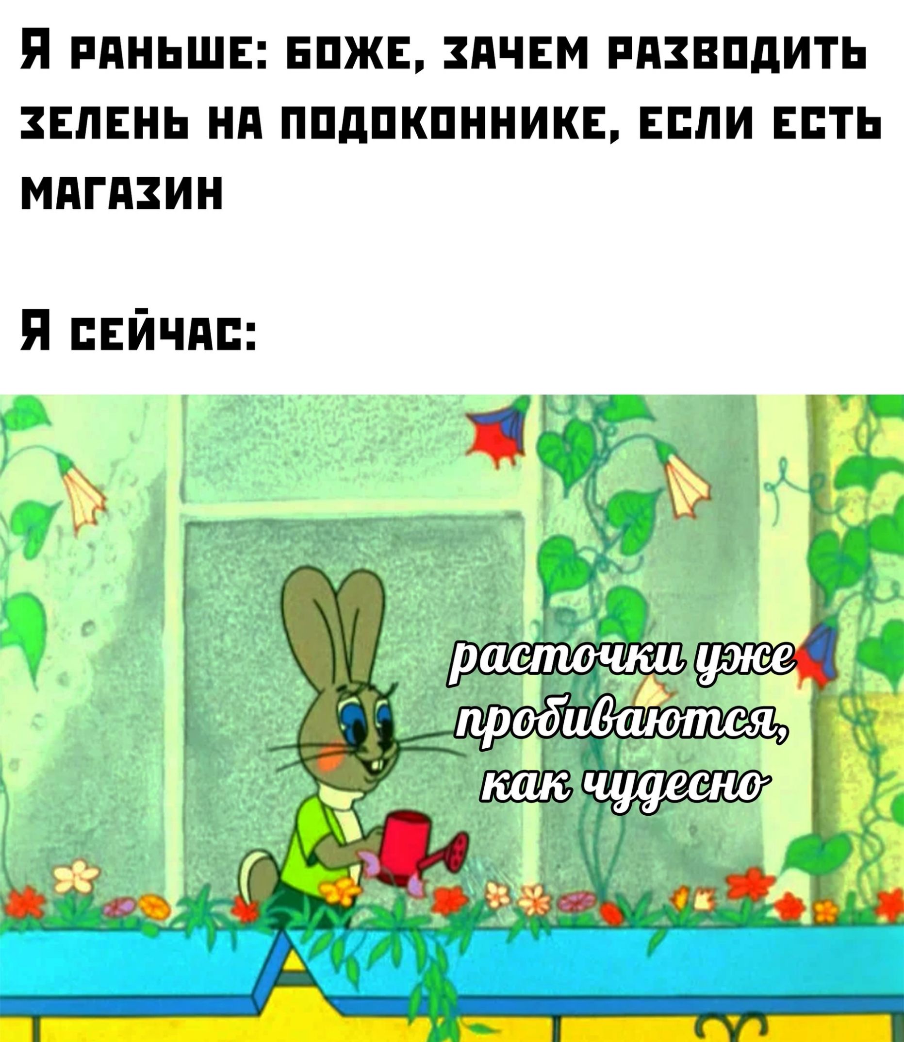 Я РАНЬШЕ ЕПЖЕ ЗАЧЕМ РАЗВПДИТЬ ЗЕЛЕНЬ НА ППдПКПННИКЕ ЕЕЛИ ЕЕТЬ МАГАЗИН Я Ейчдп