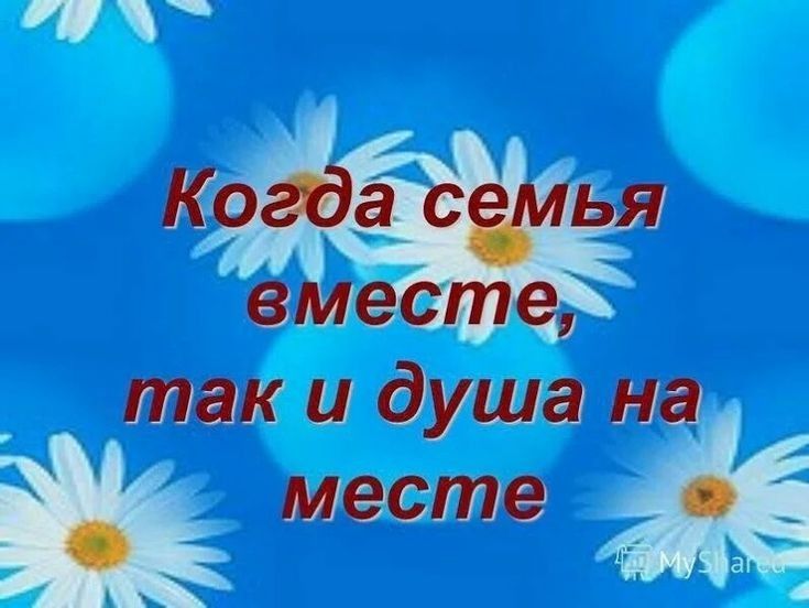 Кота саиья вместе так и душа на месте