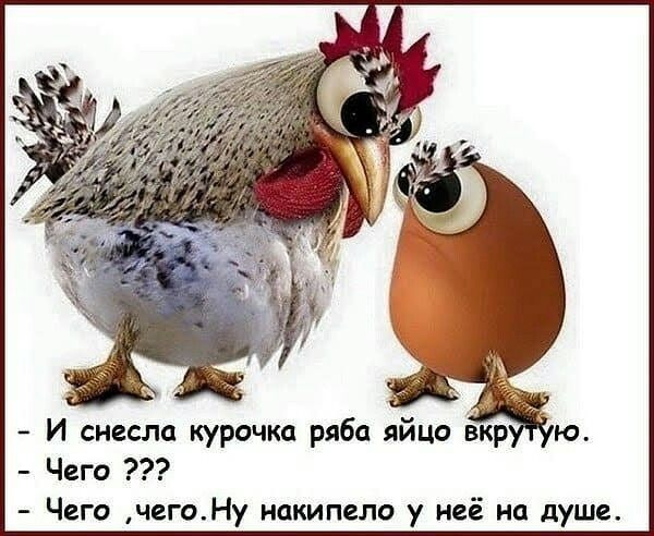 И снесла курочка ряба яйцо вкр Чего Чего чегоНу накипело у неё на душе