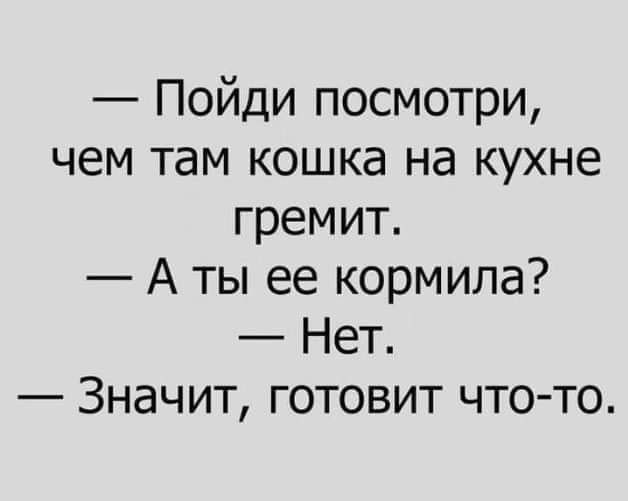 Пойди посмотри чем там кошка на кухне гремит А ты ее кормила Нет Значит готовит что то