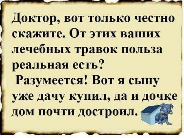 _ Доктор вот только честно скажите От этих ваших лечебных травок польза реальная есть Разумеется Вот я сыну 4 уже дачу купил да и дочке дом почти достроил тдЫ