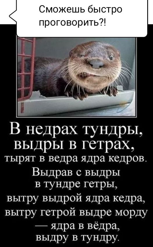 В недрах тундры выдры В ГСТраХ тырят в ведра ядра кедров Выдрав с выдры в тундре гетры вытру выдрой ядра кедра вытру гетрой выдре морду ядра в вёдра выдру в тундру