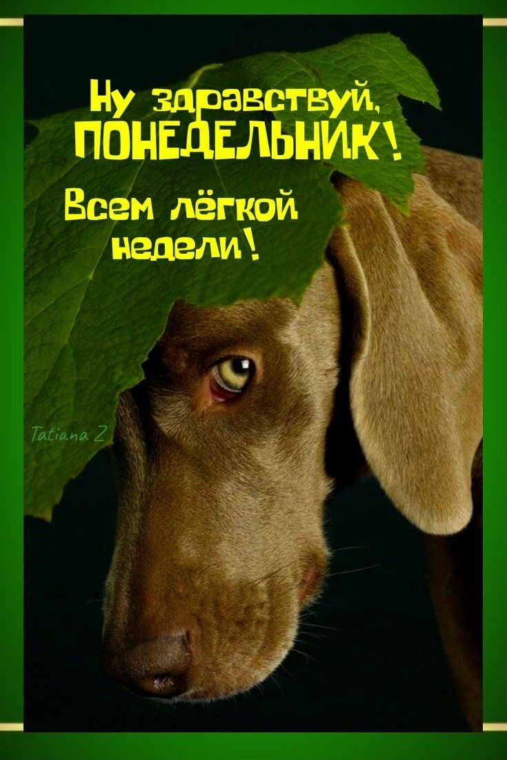 ЭВЁТЁУИ птипдЕЁЕльщикч Всем лёгкий нашали ты 2