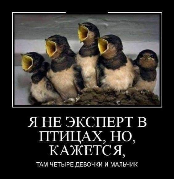 Я НЕ ЭКСПЕРТ В ПТИЦАХ но КАЖЕТСЯ ТАМ ЧЕГЫРЕ дЕВОЧКИ И МАЛЬЧИК