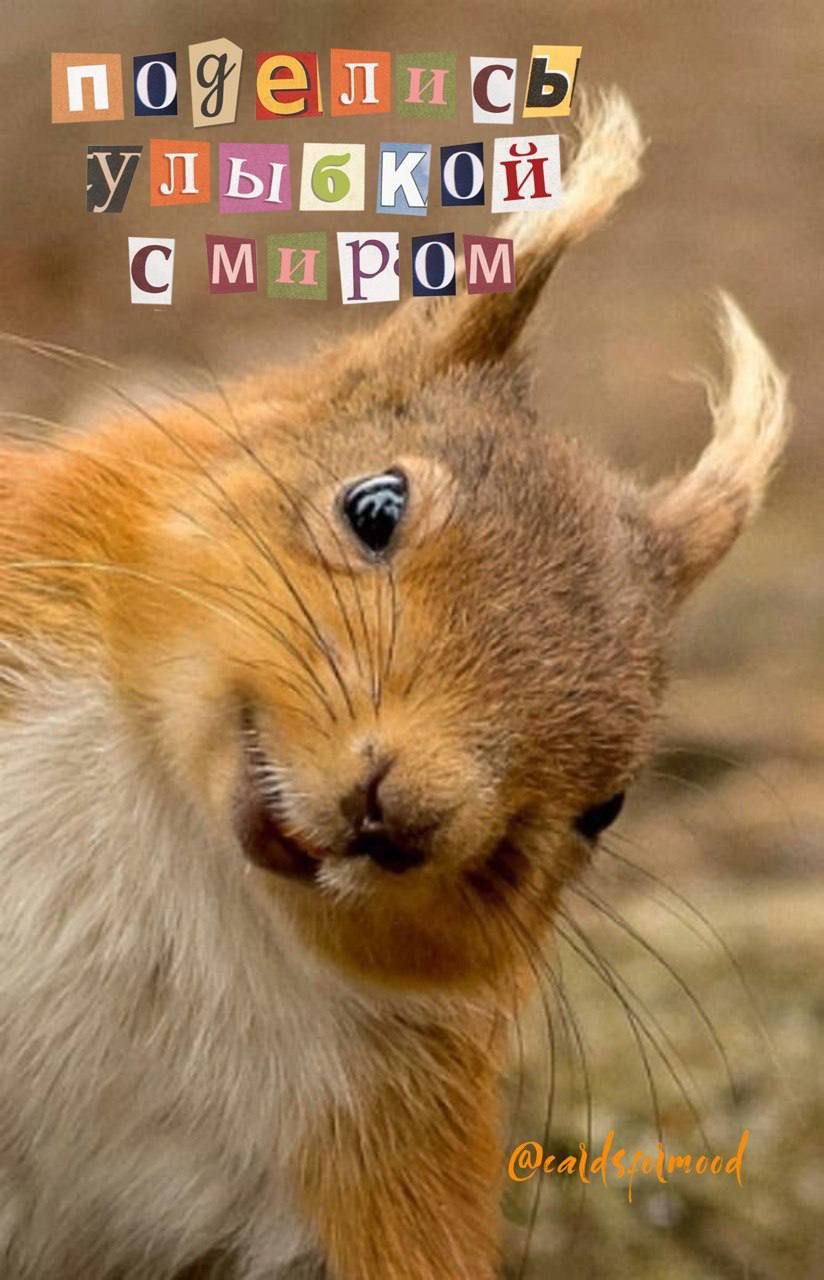 ПОВВШНШ