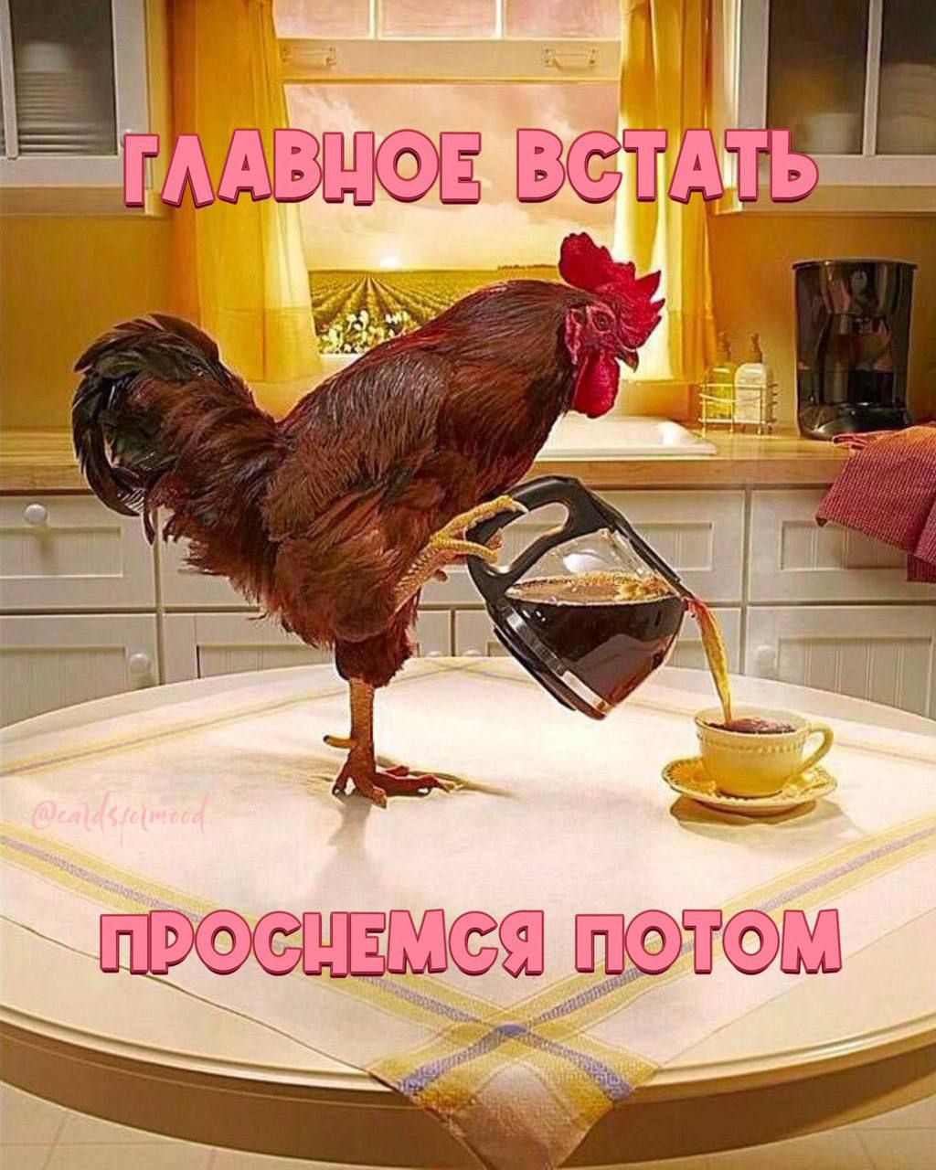 Лжиудіщь С