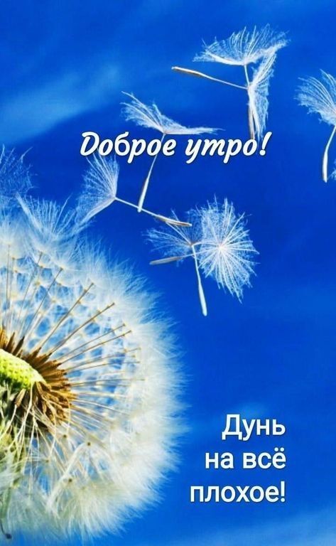 диаз _сЗё ШЙФДЁХЬЦ