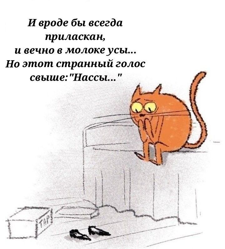 И вроде бы всегда приласклн и вечно в молоке усы На этот странный голос свыше Нассы