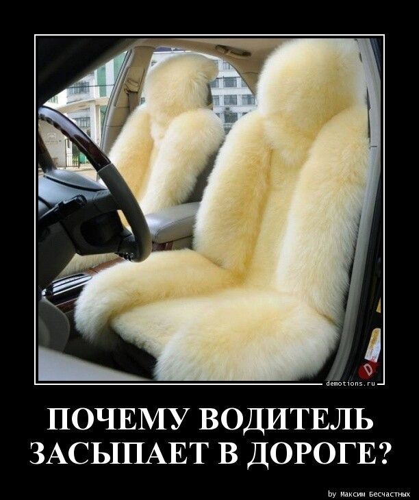 ПОЧЕМУ ВОДИТЕЛЬ ЗАСЬ1ПАЕТ В ДОРОГЕ щ