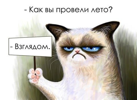 Как вы провехи Авто