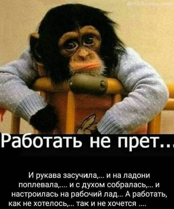 а стать не прет И рукава засучипа и на ладони поплевала_ и с духом собралась и настроилась на рабочий пад А рабо гать как не хотелось так и не хочется