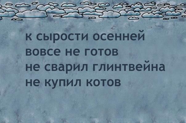 ьфа Эва Ш а Эф ъв а _ 5 к сырости осённей вовсе не готов не сварил глинтвейна не КУПИЛ КОТОВ
