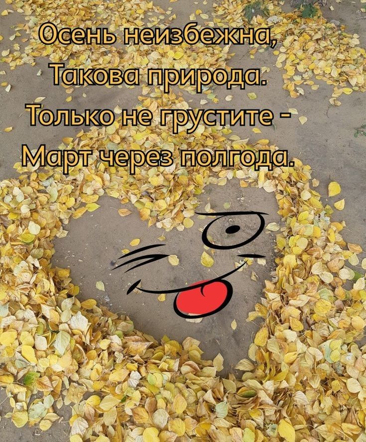_ Тл ька М