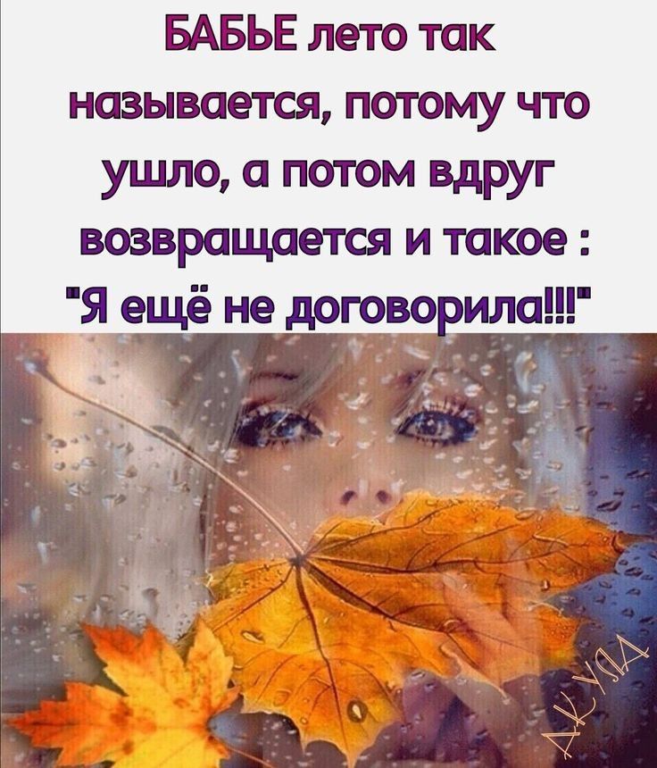 БАБЬЕ лето так называется потому что ушло а потом вдруг возвращается и такое Я ещё не догово ила