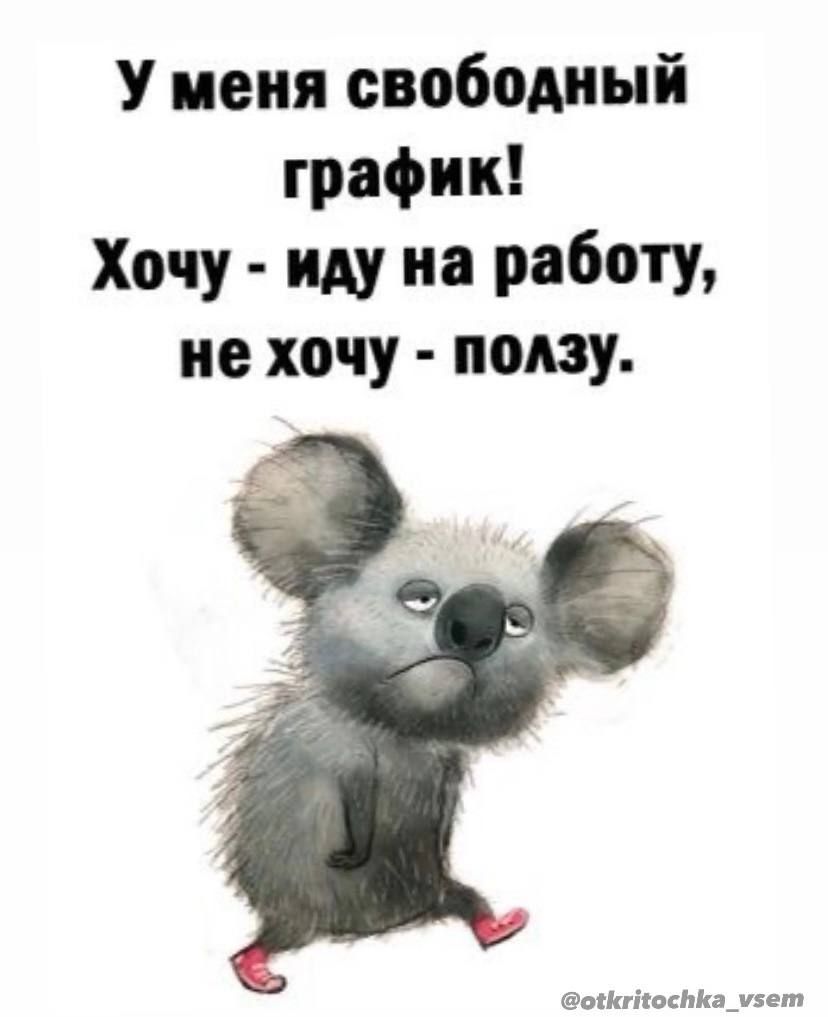 У меня свободный график Хочу иду на работу не хочу ползу