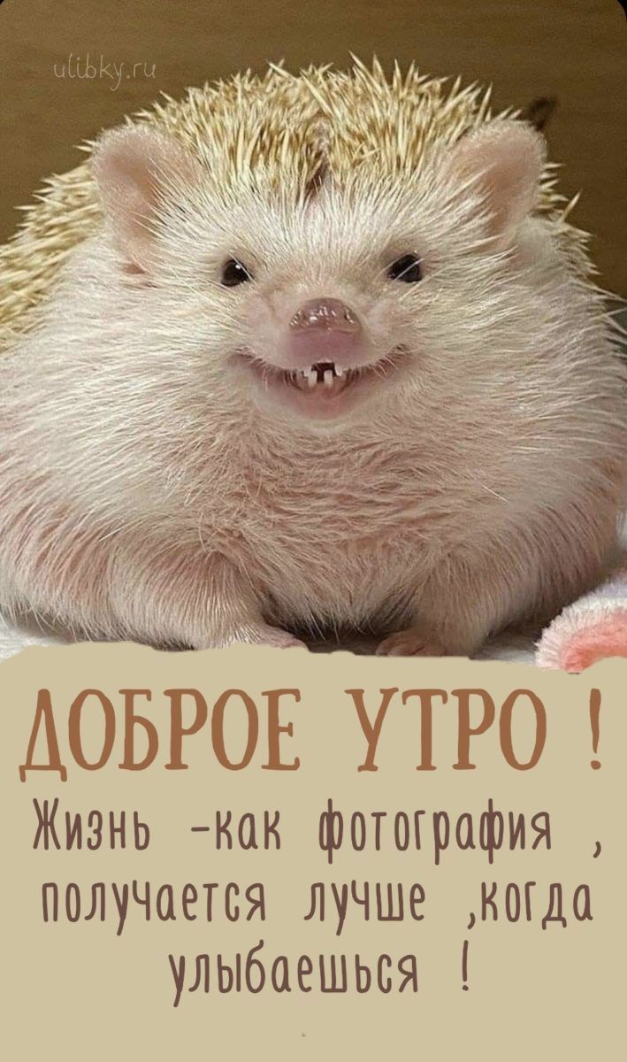 ДОБРОЕ утро Т Жизнь как фотография получается лучше когда улыбаешься