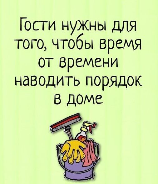 Гости нужны для того чтобы время от времени наводить порядок В доме