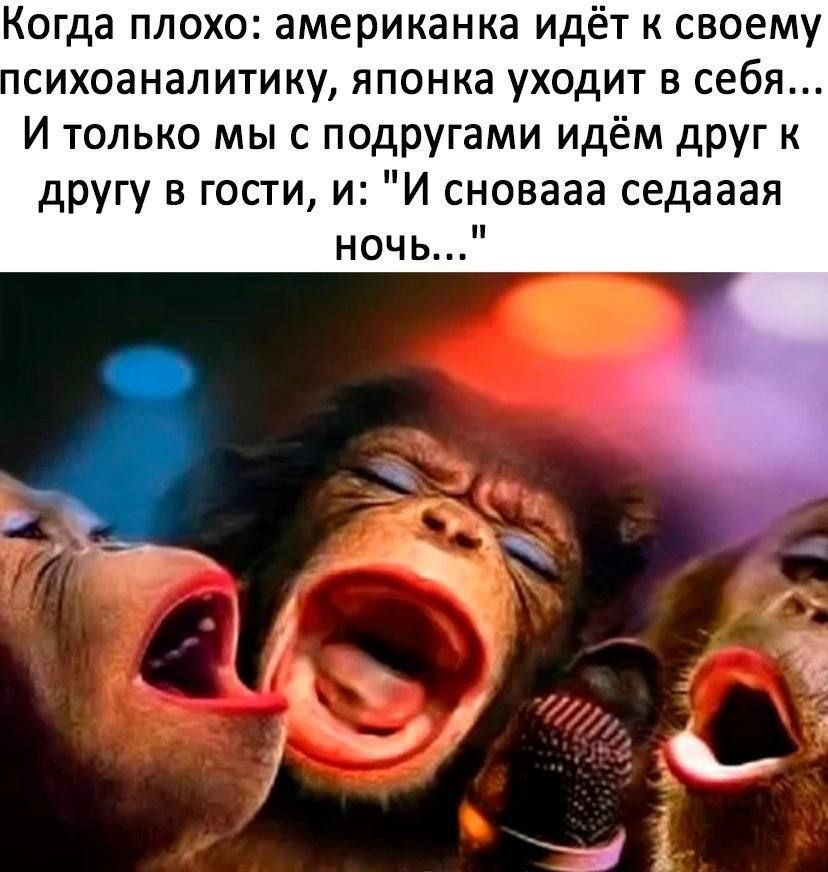 Когда плохо американка идёт к своему сихоаналитику японка уходит в себя И только мыс подругами идём друг к другу в гости и И сновааа седааая ночь