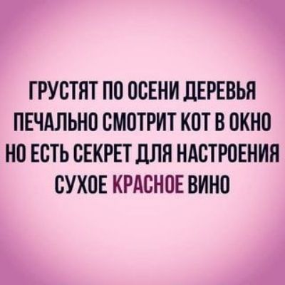 ГРУСТЯТ ПО ОСЕНИ дЕРЕВЬЯ ПЕЧАЛЬНО СМОТРИТ КОТ В ОКНО НО ЕСТЬ СЕКРЕТ дЛЯ НАСТРОЕНИЯ СУХОЕ КРАСНОЕ ВИНО А