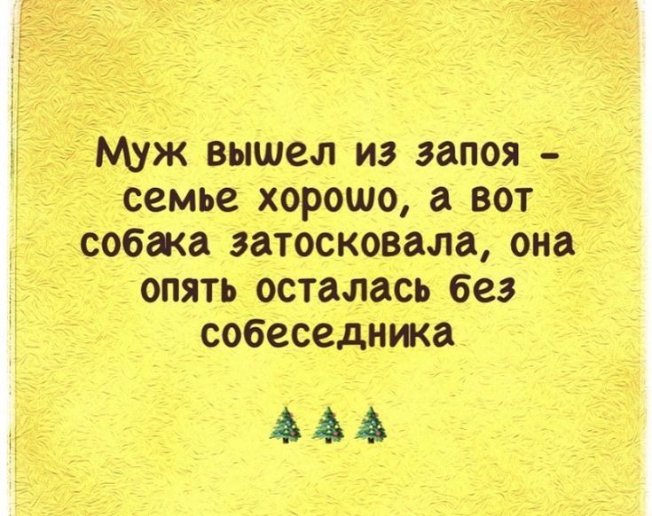 Муж вышел из запоя семье хорошо а вот собака эатосковала она опять осталась без собеседника