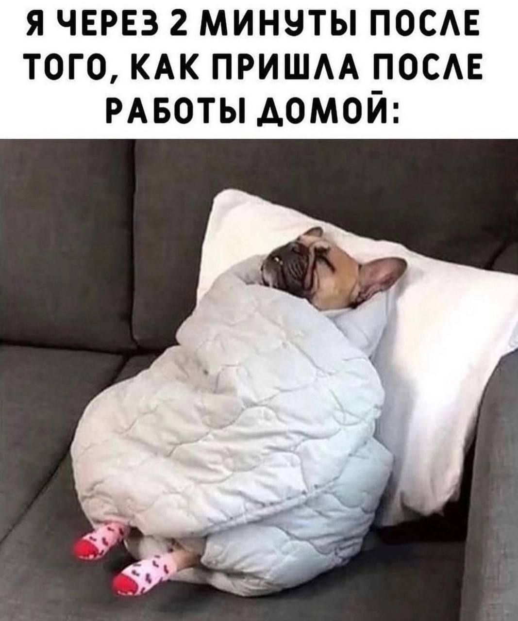 я ЧЕРЕЗ 2 минуты поем того КАК пришм посдв РАБОТЫ домой