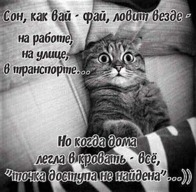 БН как Вай фай доби т Везде на работе на улице і легла продать Всё питта досіпупатненайдша