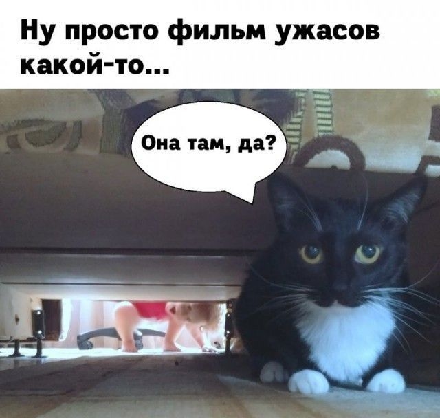 Ну просто фильм ужасов какой то 49