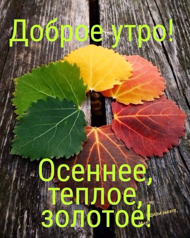 ОсеЭЁЁе9 теплое чзщотоеРМ