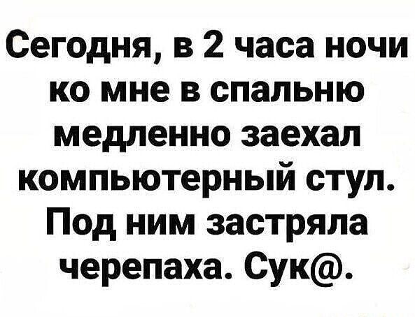 Сегодня в 2 часа ночи ко мне в спальню медленно заехал компьютерный стул Под ним застряла черепаха Сук