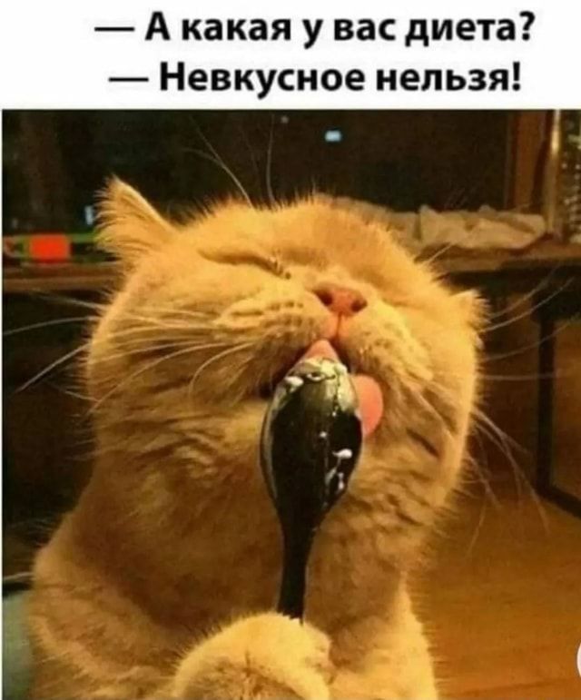 А какая у вас диета Невкусное нельзя