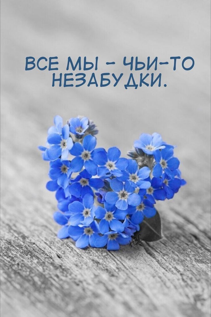 все мы чьито НЕЗАБУАКИ
