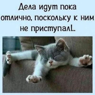 Деда и9ут пока отдично поскольку к ним не приступаЦ