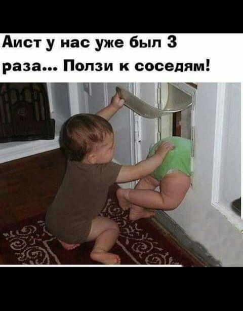 Аист у нас уже был 3 раза Попзи к соседям