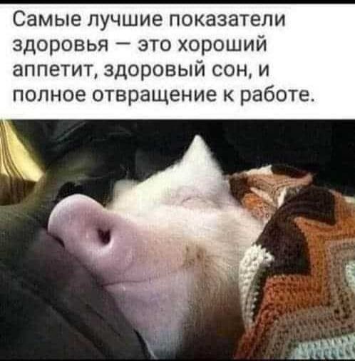 Самые лучшие показатели здоровья это хороший аппетит здоровый сон и полное отвращение к работе