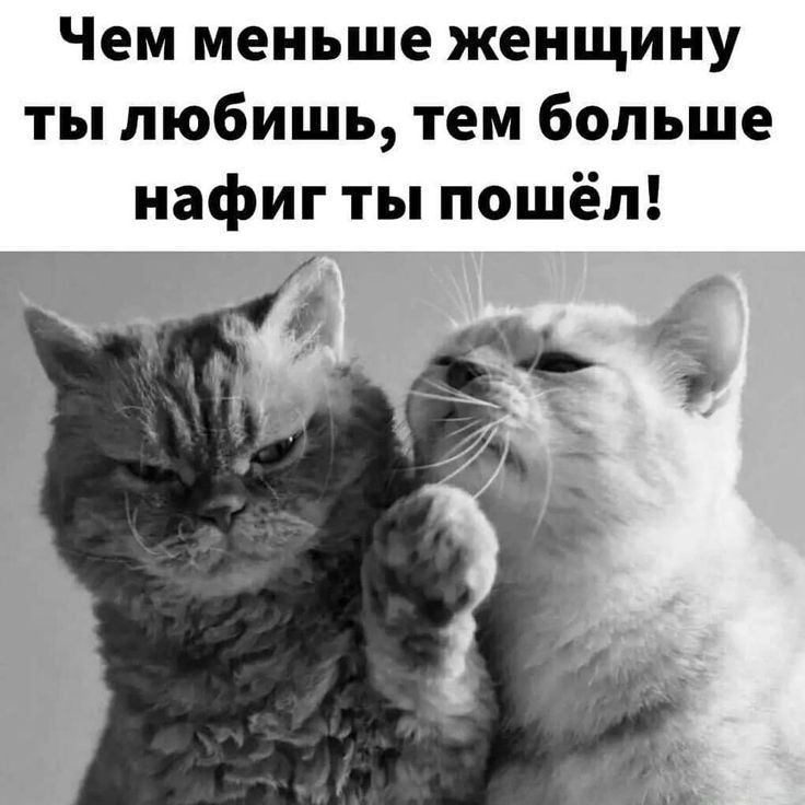 Чем меньше женщину ты любишь тем больше нафиг ты пошёл