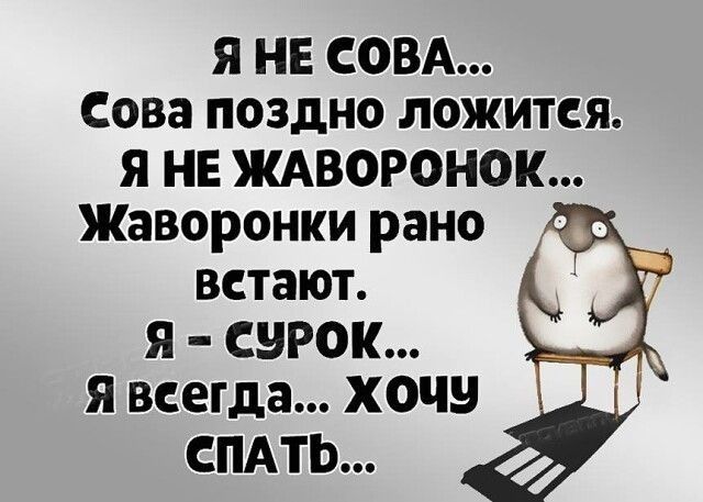 я НЕ СОВА Сова поздно ложится я НЕ ждворонок Жаворонки рано встают Я СЭРОК я всегда хочу СПАТЬ