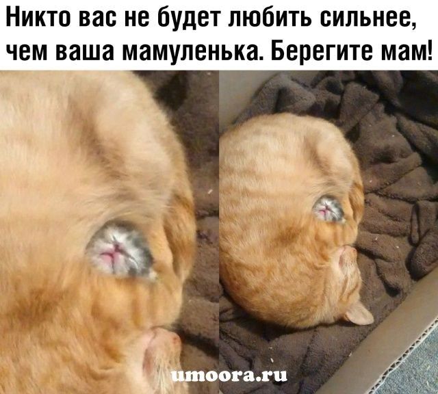 Никто вас не будет любить сильнее чем ваша мамупенька Берегите мам