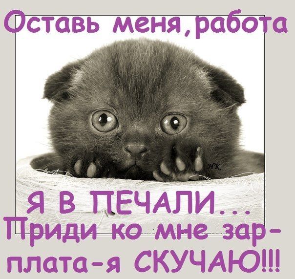 Ц С В ЕЁЬ Р
